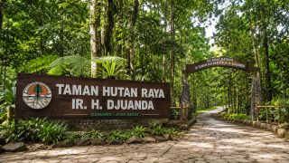 Taman Hutan Raya Djuanda
